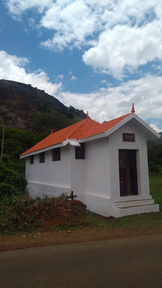 gallery picture